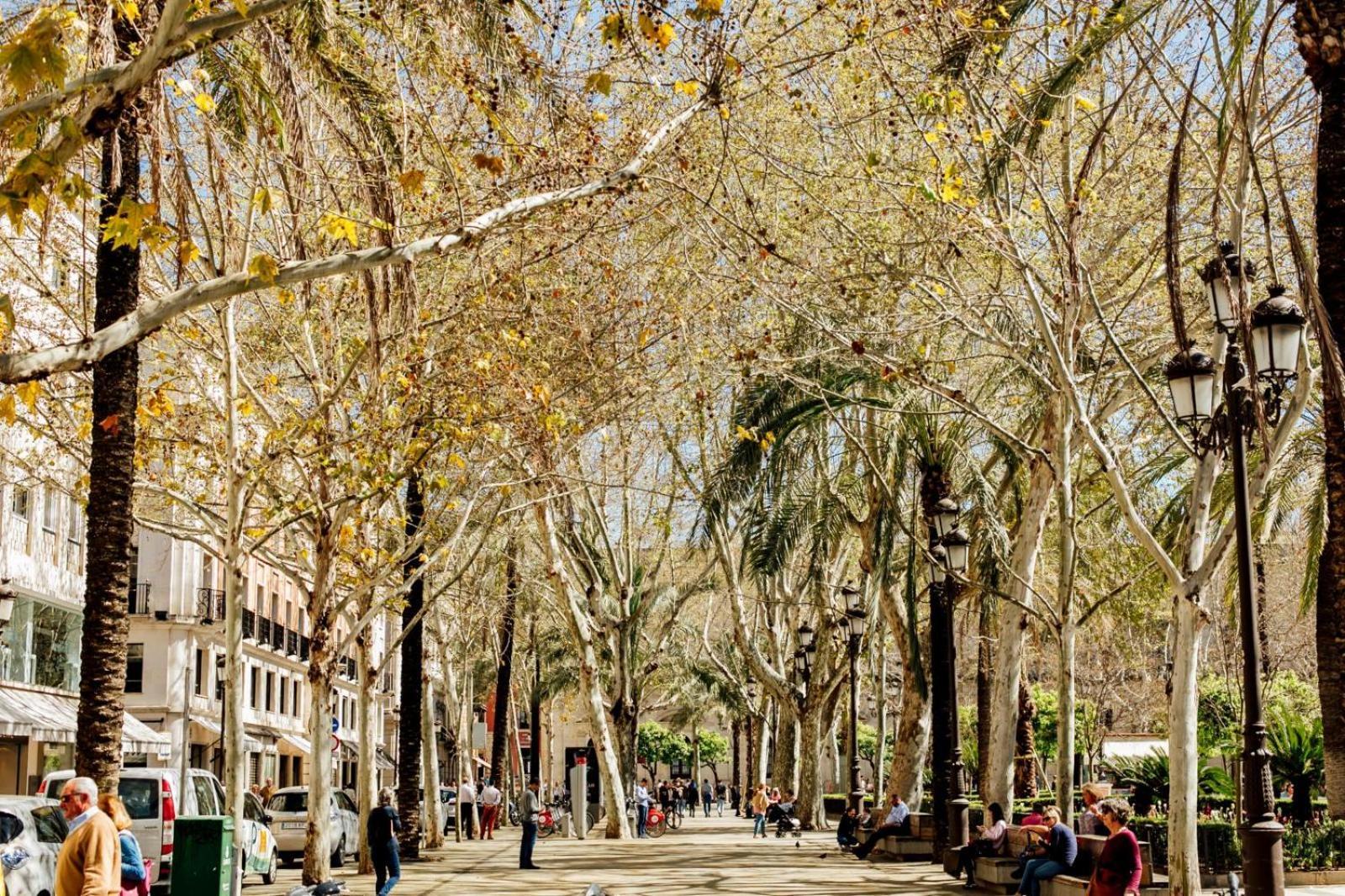 Plaza De La Magdalena I, Sevilla Centro Historico Bagian luar foto